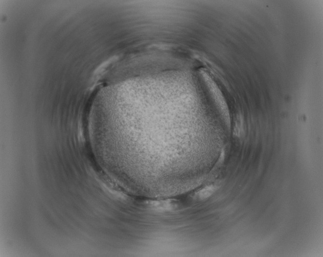 X0000071790524200607211625