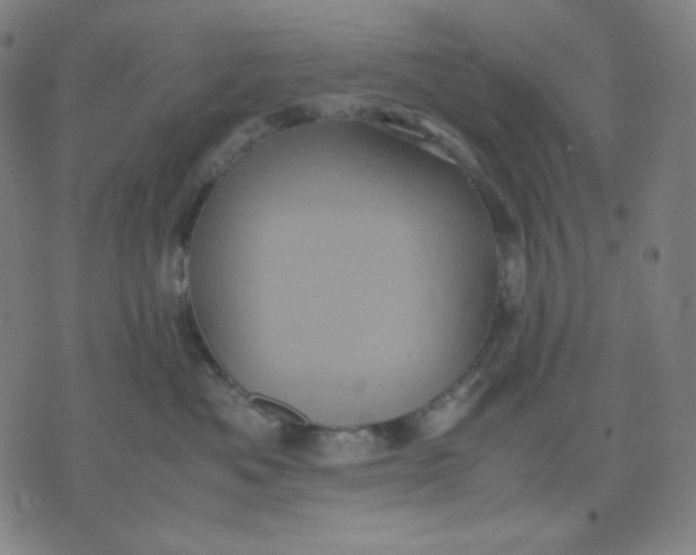 X0000071790525200607211625