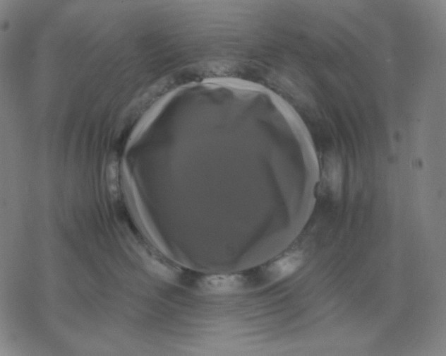 X0000071790526200607211625