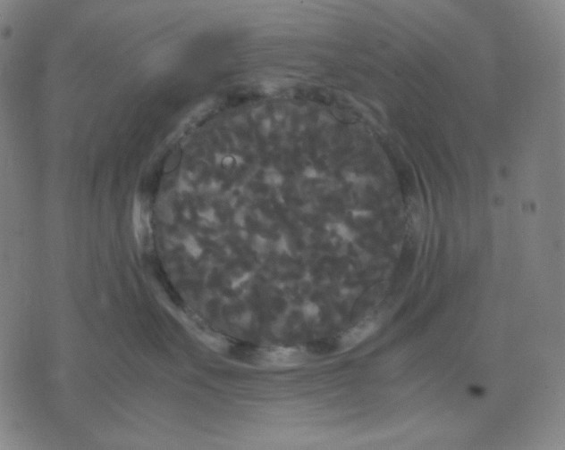 X0000071790527200607211625