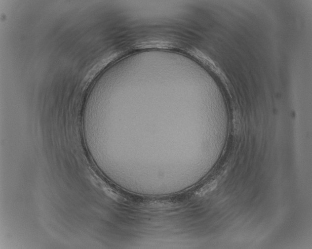 X0000071790529200607211624