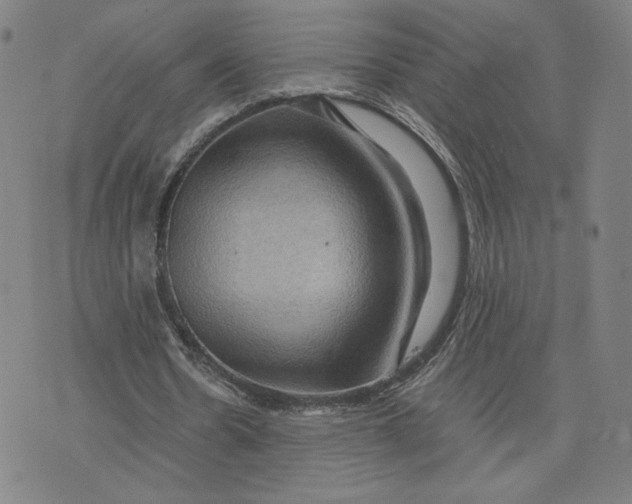 X0000071790530200607211624