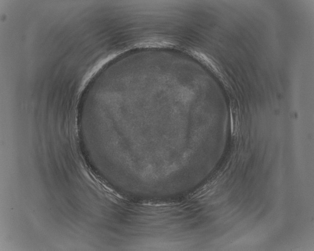 X0000071790531200607211624