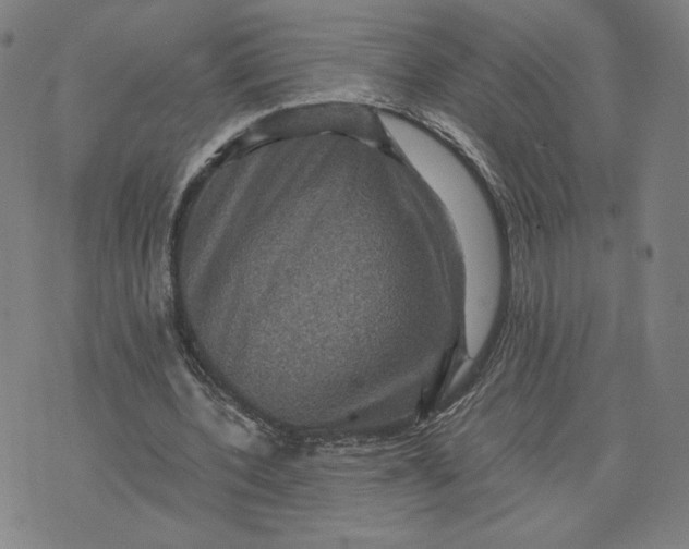 X0000071790532200607211624