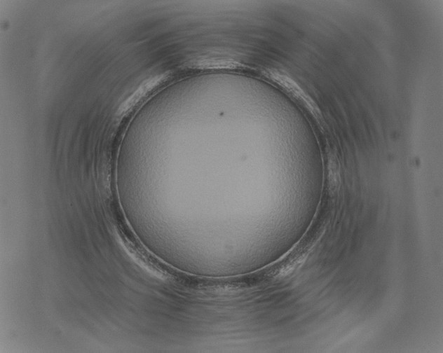 X0000071790533200607211624