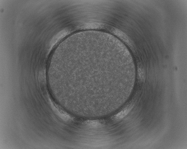 X0000071790534200607211624