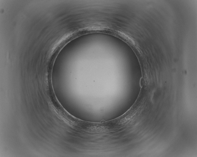 X0000071790535200607211624