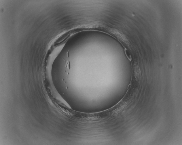 X0000071790536200607211624