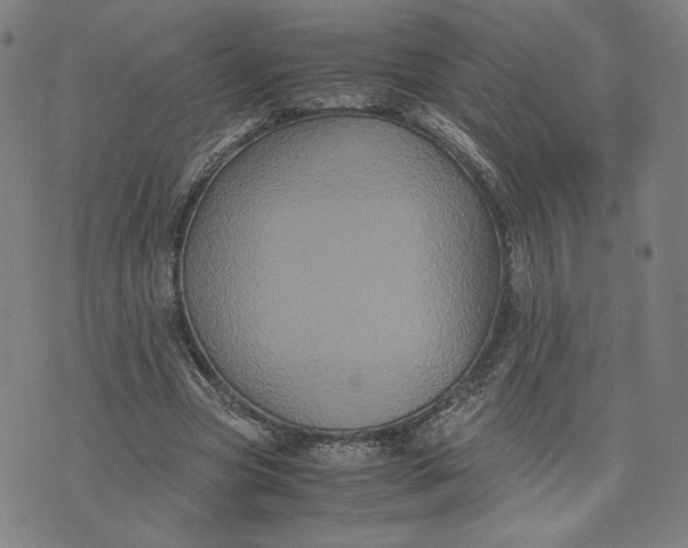 X0000071790537200607211624