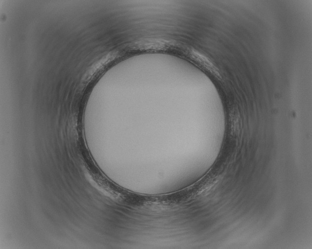 X0000071790538200607211624