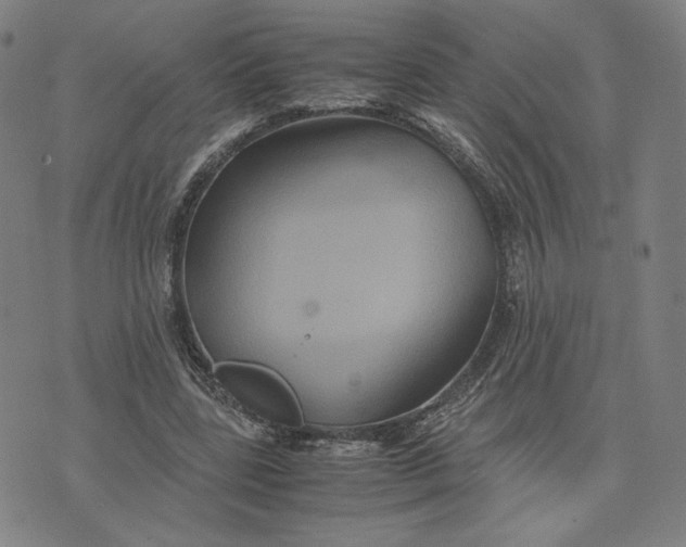 X0000071790539200607211624