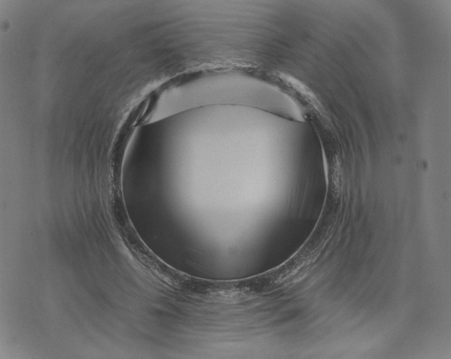 X0000071790540200607211624