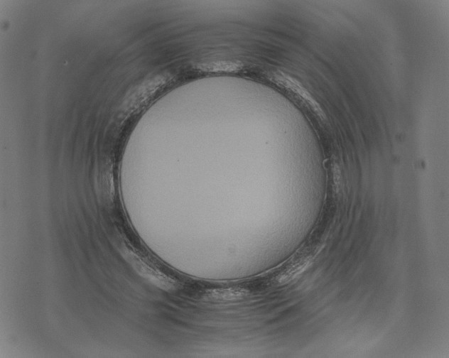 X0000071790541200607211624