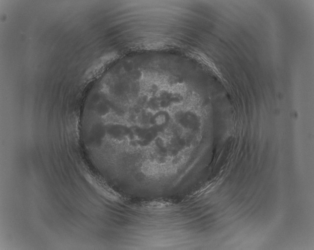 X0000071790542200607211624