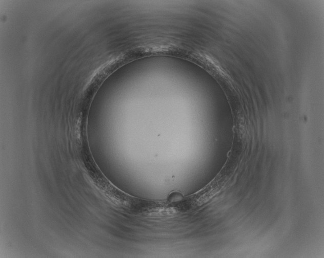 X0000071790543200607211624