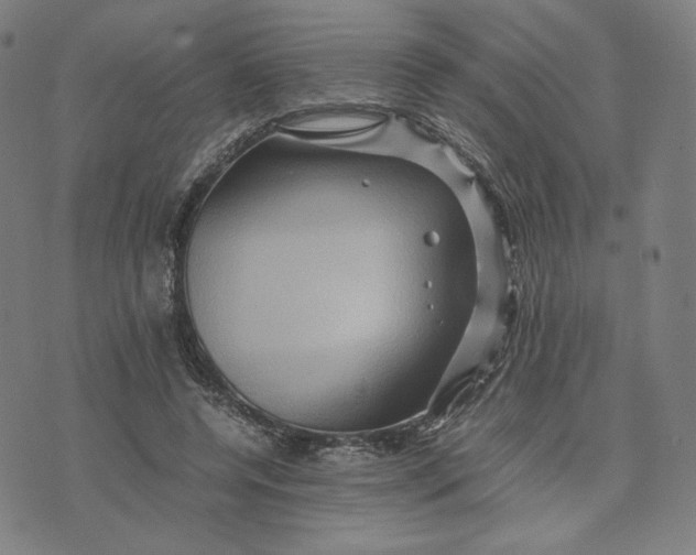 X0000071790544200607211624