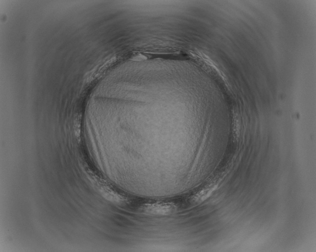 X0000071790545200607211624