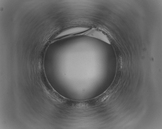 X0000071790546200607211624