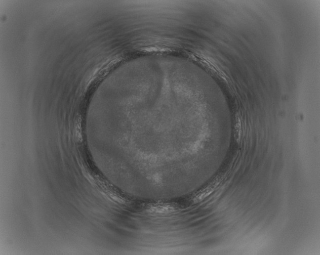 X0000071790547200607211624