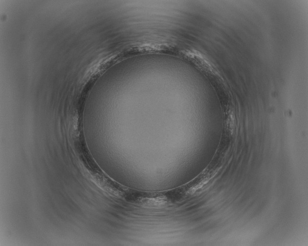 X0000071790548200607211625