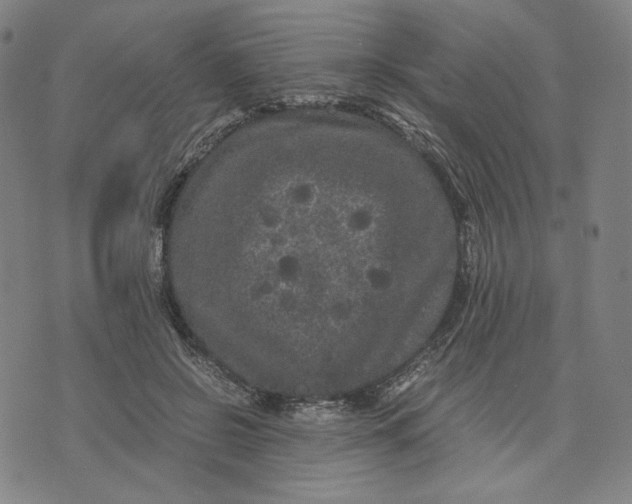 X0000071790550200607211625