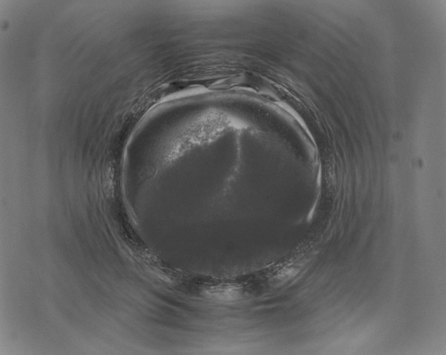 X0000071790551200607211625