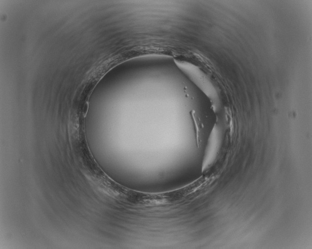 X0000071790552200607211625