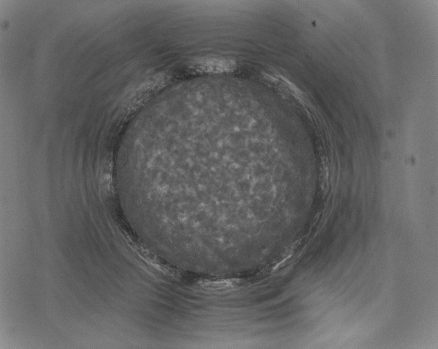 X0000071790553200607211625