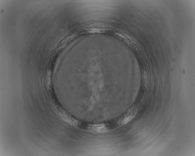 X0000071790554200607211625