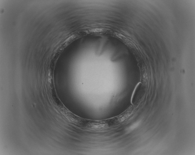 X0000071790555200607211625