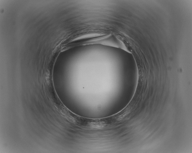 X0000071790556200607211625