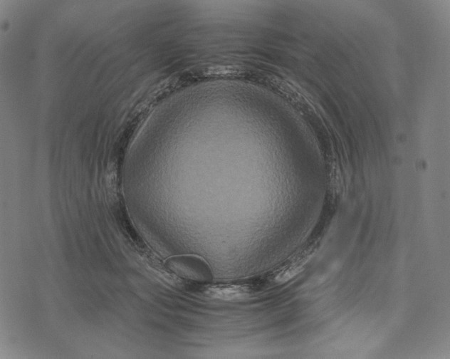 X0000071790557200607211625