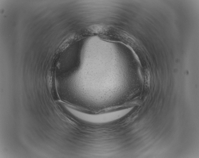 X0000071790558200607211625