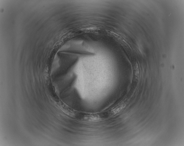 X0000071790559200607211625