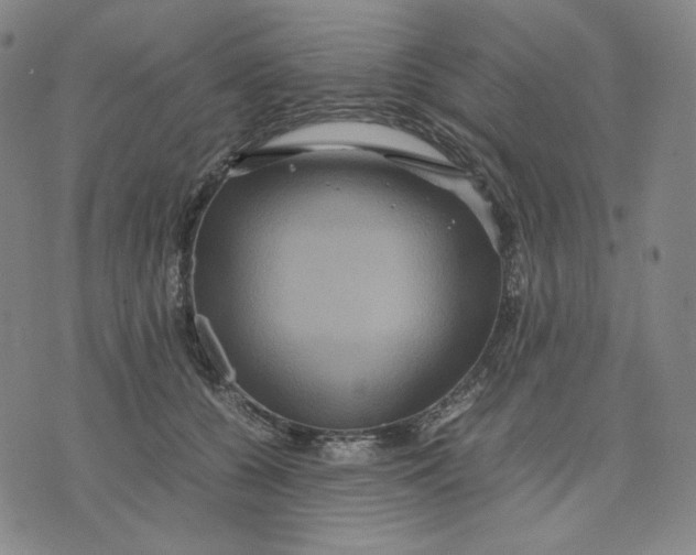 X0000071790560200607211625