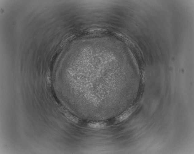 X0000071790561200607211625