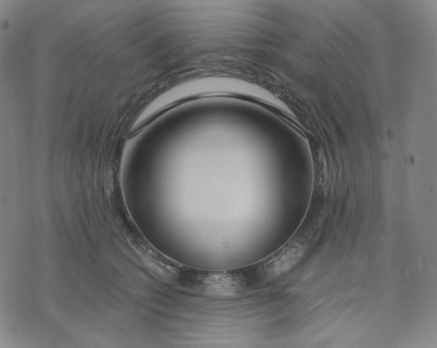 X0000071790562200607211625