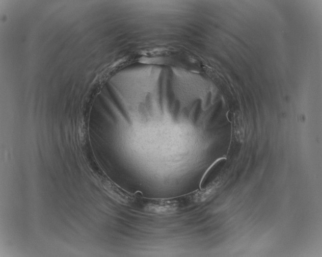 X0000071790563200607211625