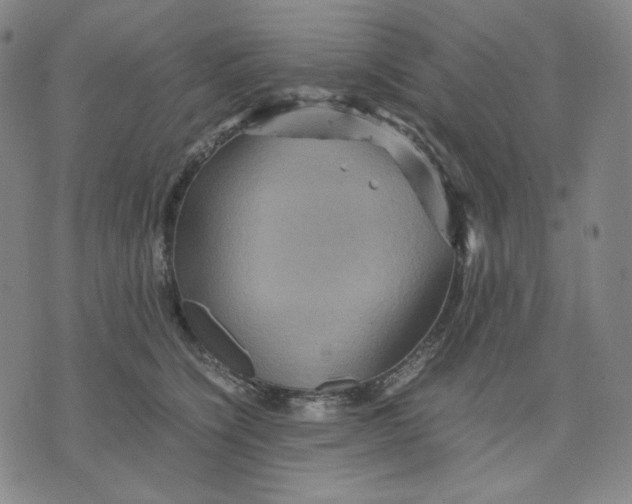 X0000071790564200607211625