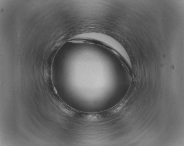 X0000071790566200607211625