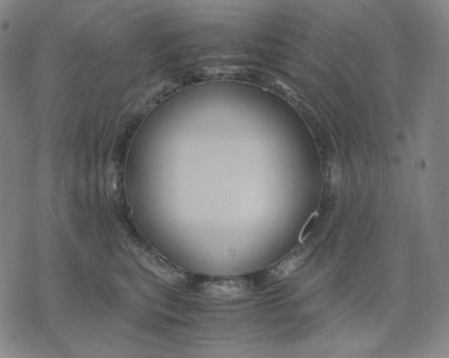 X0000071790567200607211625