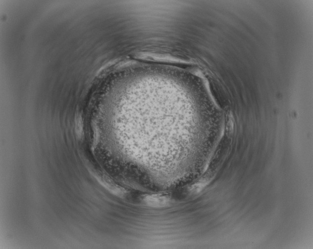 X0000071790568200607211625