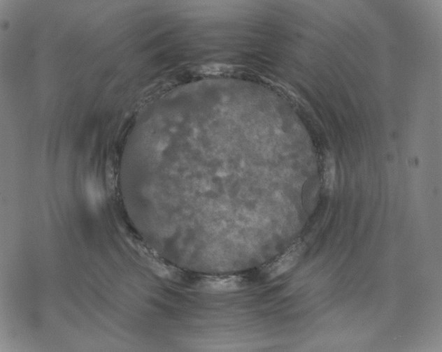 X0000071790569200607211625