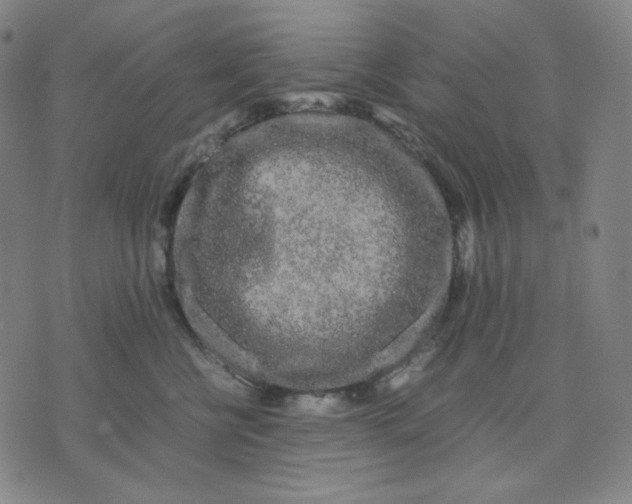 X0000071790570200607211625