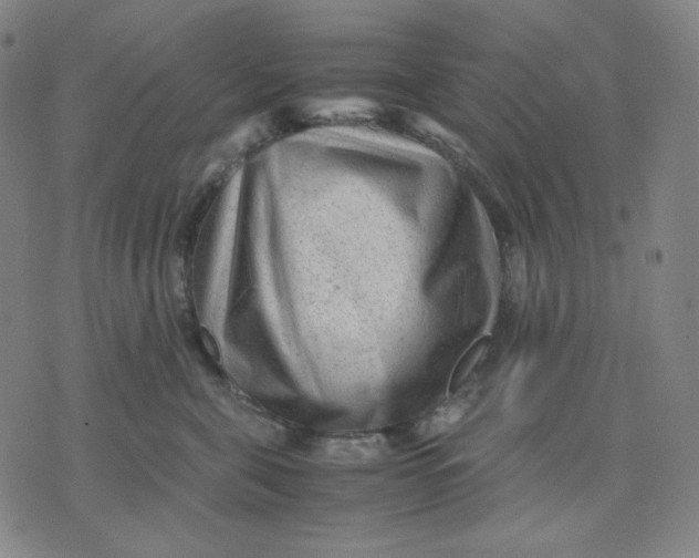 X0000071790571200607211625