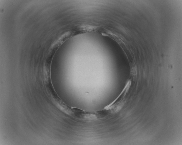 X0000071790572200607211625