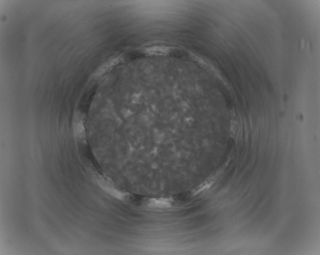 X0000071790573200607211625