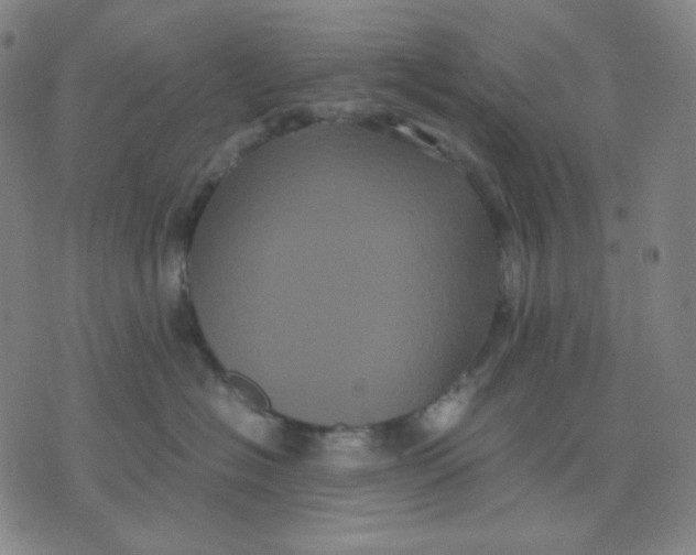 X0000071790574200607211625