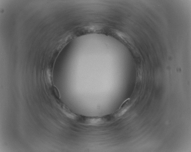 X0000071790575200607211625