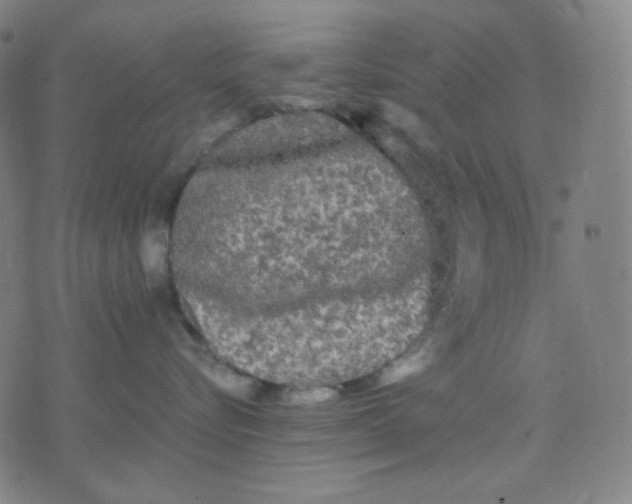 X0000071790576200607211625